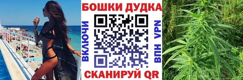 Купить наркоту Кочубеевское Псилоцибиновые грибы  A PVP  КОКАИН  Гашиш  АМФЕТАМИН  Мефедрон  Канабис 