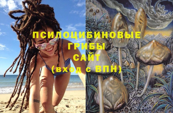 ALPHA-PVP Дмитровск