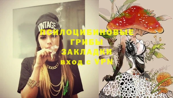 прущий лед Дмитров