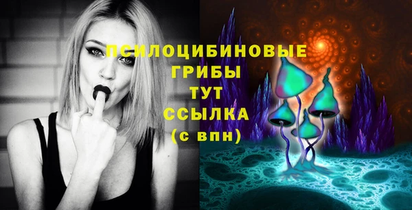 мдма Дмитриев