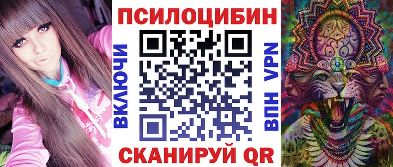 Псилоцибиновые грибы прущие грибы  площадка состав  Кочубеевское  где продают  